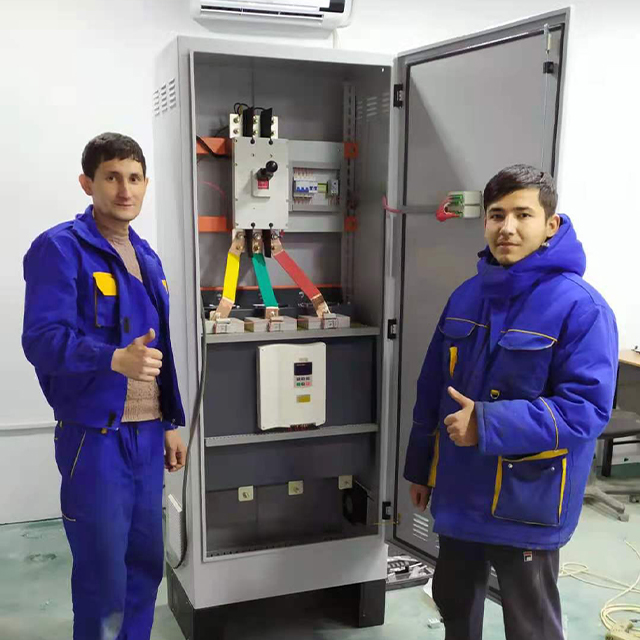 Good Quality 320~800kw Price List 50Hz/60Hz 3 Phase 380V 500kw China Online Soft Starter for AC Motor Wind Generator